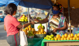 Applying a gender lens to post-Covid economic recoveries: a spotlight on women-led businesses in Africa