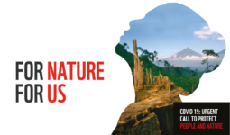 For nature for us
